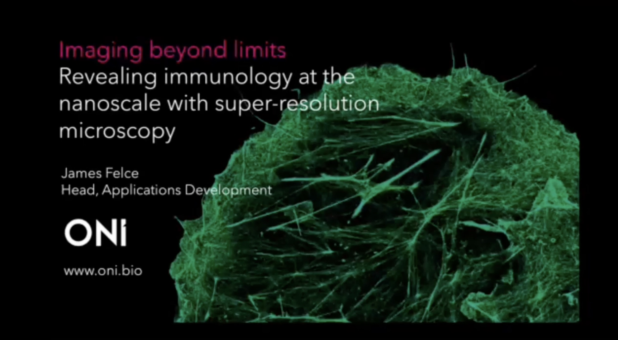 Webinar Imaging Beyond Limits - Revealing Immunology At The Nanoscale ...